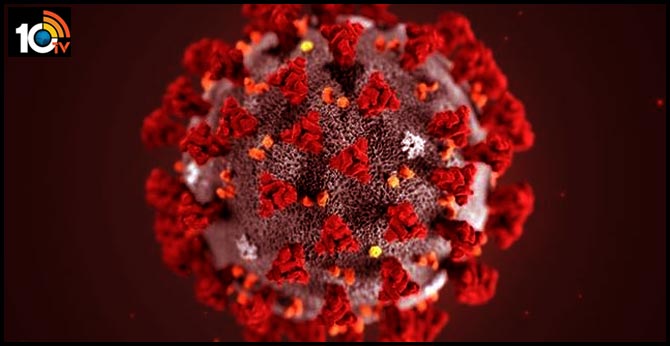 Coronavirus LIVE: India cases jump to 567,536; global tally past 10.4 mn