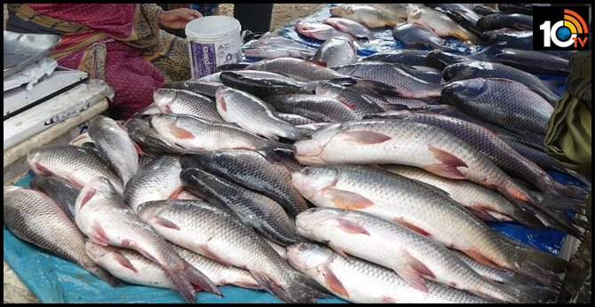 Mrigasira Karthi..Huge Demand For Fish