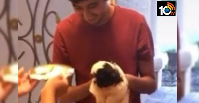 Only In India! Puppy Gets Desi Welcome With 'Grihapravesh', Family Performs Aarti