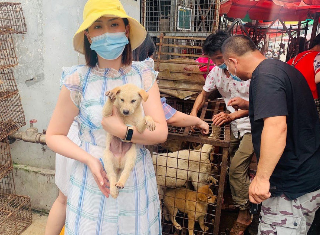 Yulin dog meat festival to begin this weekend