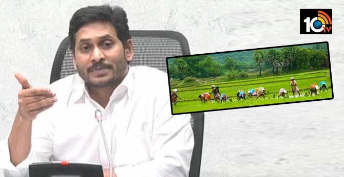 రైతులకు పంటల బీమా సొమ్ము విడుదల రైతులకు పంటల బీమా సొమ్ము విడుదల