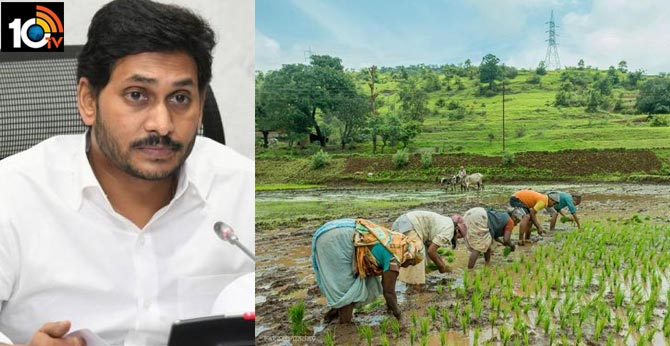 రైతుల ఖాతాలో పంటల బీమా పరిహారం : గత ప్రభుత్వం బకాయిని తీర్చిన సీఎం జగన్ రైతుల ఖాతాలో పంటల బీమా పరిహారం : గత ప్రభుత్వం బకాయిని తీర్చిన సీఎం జగన్