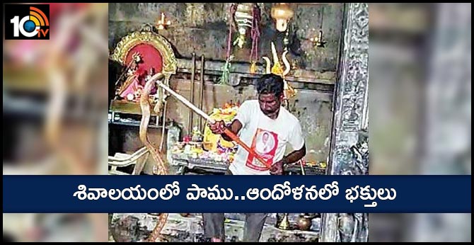 శివాలయంలో పాము..ఆందోళనలో భక్తులు శివాలయంలో పాము..ఆందోళనలో భక్తులు
