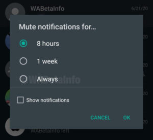 WhatsApp could finally let you mute those pesky group chats forever