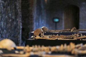 China issues bubonic plague alert, forbids eating risky animals