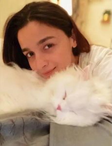 Celebrity social media photos: Chris Hemsworth, Himanshi Khurana, Hina Khan and others