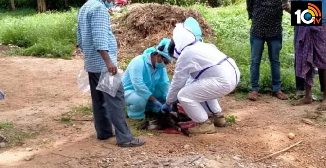 Karnataka: Shepherd tests positive for COVID-19, 50 goats & sheep quarantined; being tested for virus
