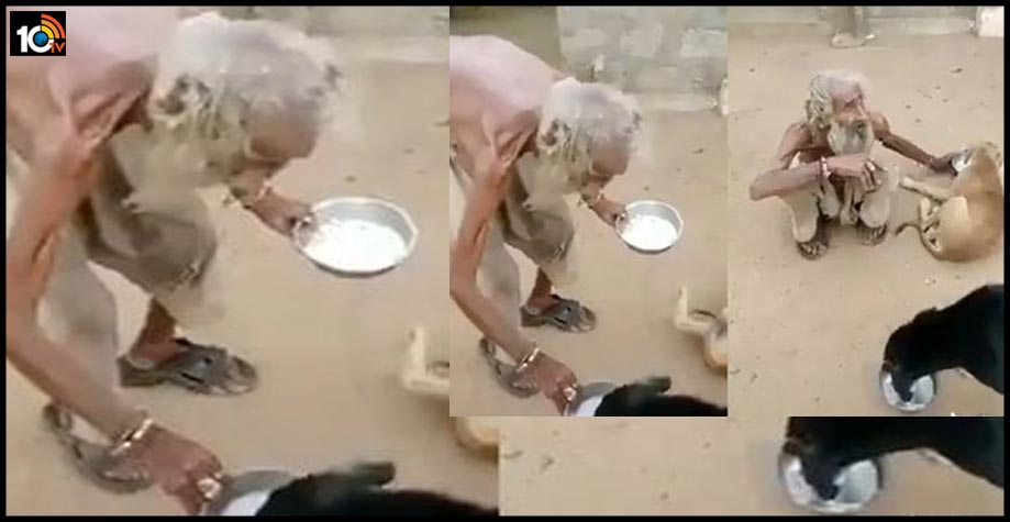 వీధి కుక్కలకు తన ఆహారాన్ని తినిపిస్తున్న బిచ్చగాడు… వీడియో వైరల్ వీధి కుక్కలకు తన ఆహారాన్ని తినిపిస్తున్న బిచ్చగాడు… వీడియో వైరల్