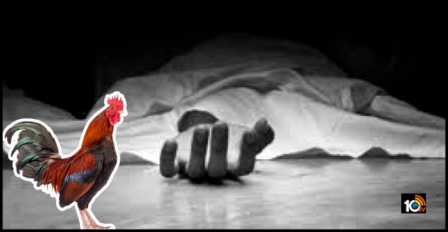 కోడిపుంజు పెట్టిన చిచ్చు..పక్కింటి వ్యక్తి హత్య కోడిపుంజు పెట్టిన చిచ్చు..పక్కింటి వ్యక్తి హత్య