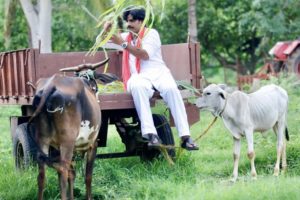Power Star