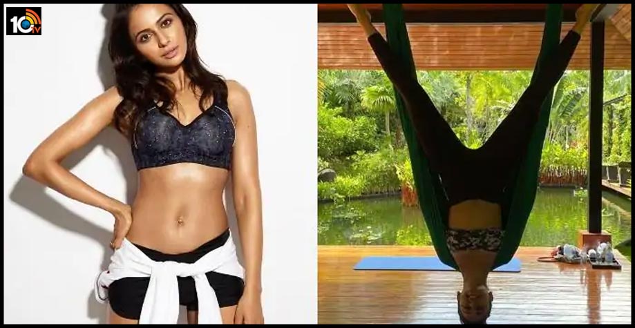రకుల్ ప్రీత్ జిమ్ బాగా మిస్ అవుతోందట.. రకుల్ ప్రీత్ జిమ్ బాగా మిస్ అవుతోందట..