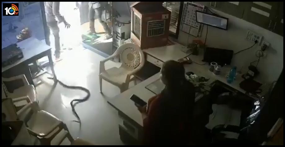 refused-fuel-in-can-man-throws-live-snake-in-pump-owners-cabin-in-mumbai-1