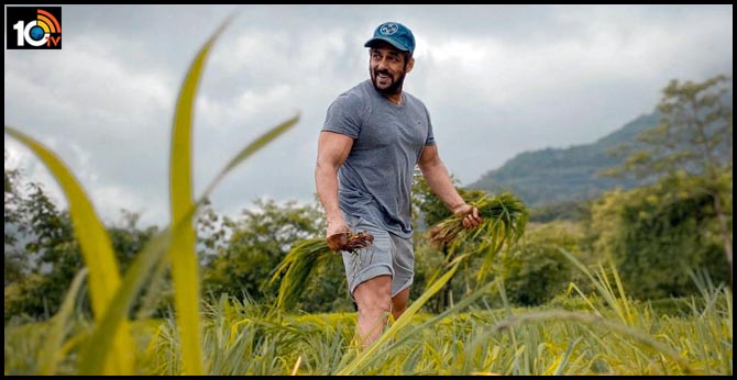 salman-khan-shows-off-his-green-farms-in-new-picture