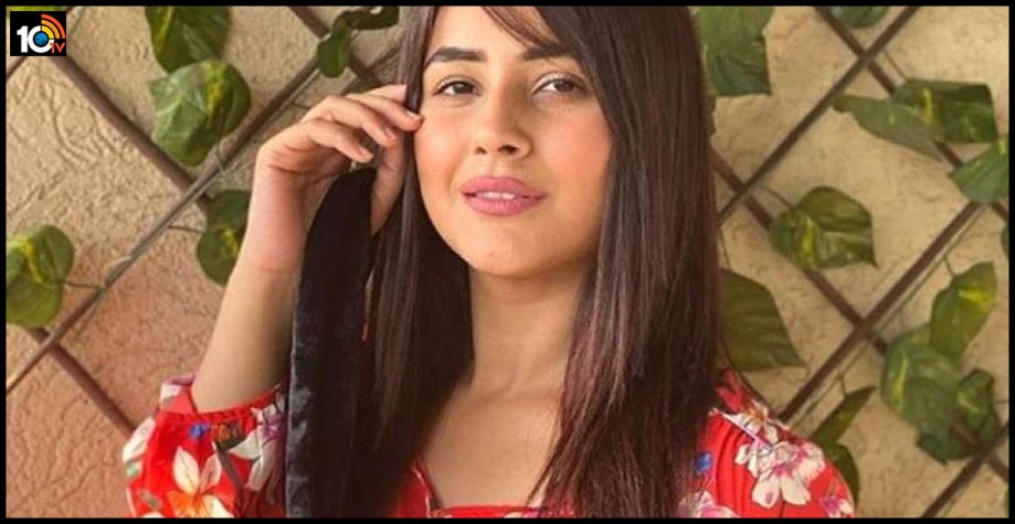 shehnaaz-gill-crosses-5-million-instagram-followers-heres-how-she-celebrated