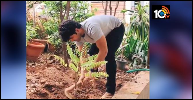Allu Sirish Completed Green India Challenge