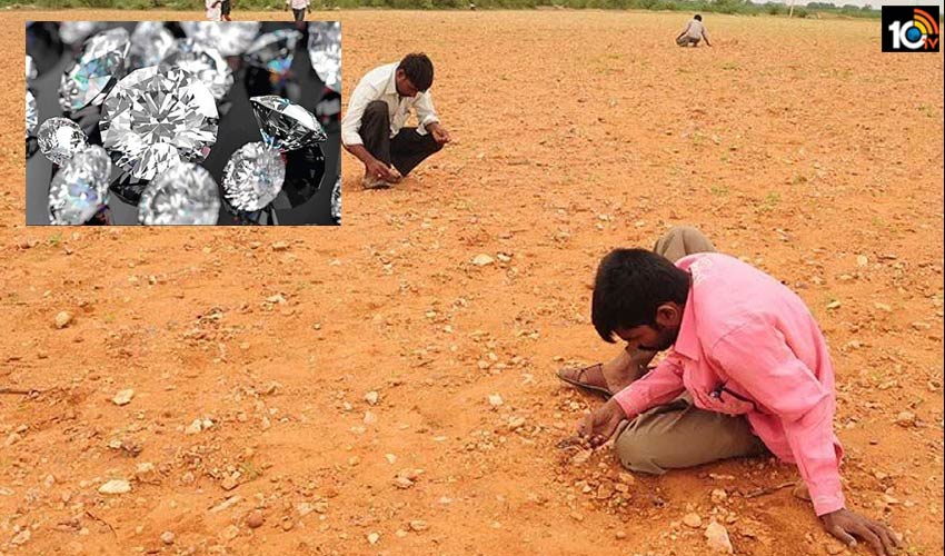 కర్నూలు జిల్లాలో విరివిగా లభిస్తున్న వజ్రాలు కర్నూలు జిల్లాలో విరివిగా లభిస్తున్న వజ్రాలు