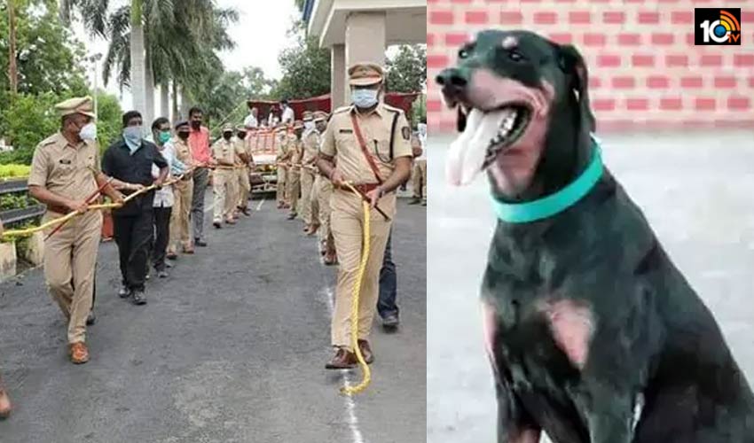 dog-that-helped-solve-365-cases-dies-gets-farewell-from-maharashtra-cops1