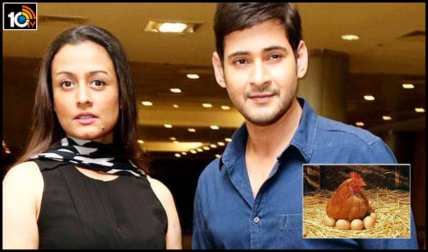 కోడి ముందా..? గుడ్డు ముందా..? నమ్రత ఏం చెప్పారో తెలుసా!.. కోడి ముందా..? గుడ్డు ముందా..? నమ్రత ఏం చెప్పారో తెలుసా!..