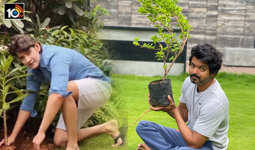 మహేష్ ఛాలెంజ్ స్వీకరించిన విజయ్.. మహేష్ ఛాలెంజ్ స్వీకరించిన విజయ్..
