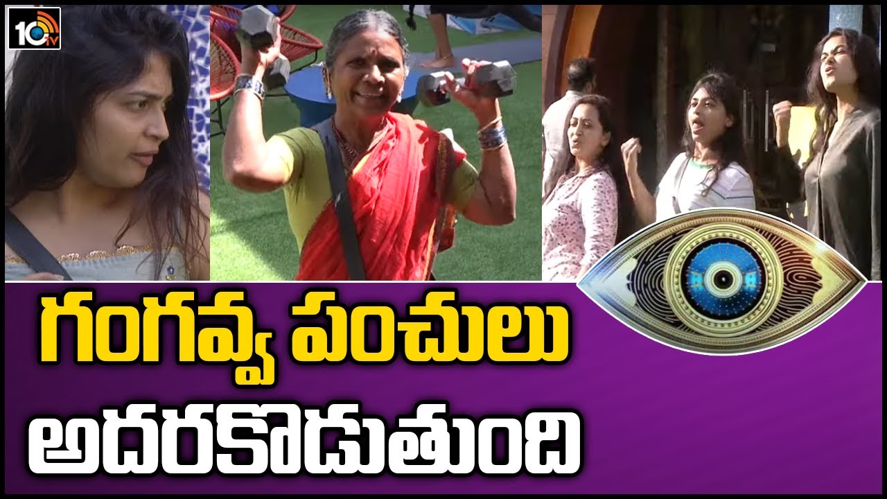Bigg Boss 4 Telugu Highlights