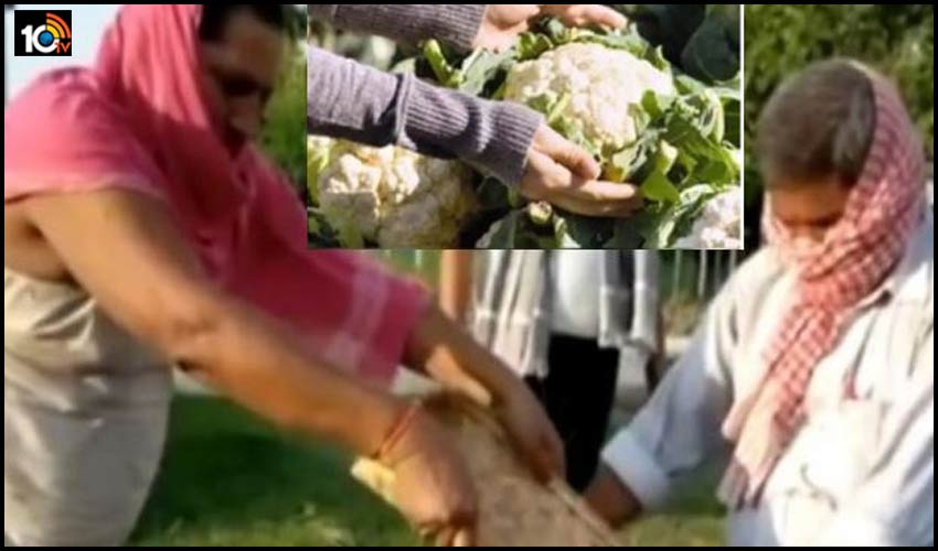 గ్రామాల్లో వస్తుమార్పిడి..టీచర్లకు బియ్యం..కూరగాయలు..సరుకులు గ్రామాల్లో వస్తుమార్పిడి..టీచర్లకు బియ్యం..కూరగాయలు..సరుకులు