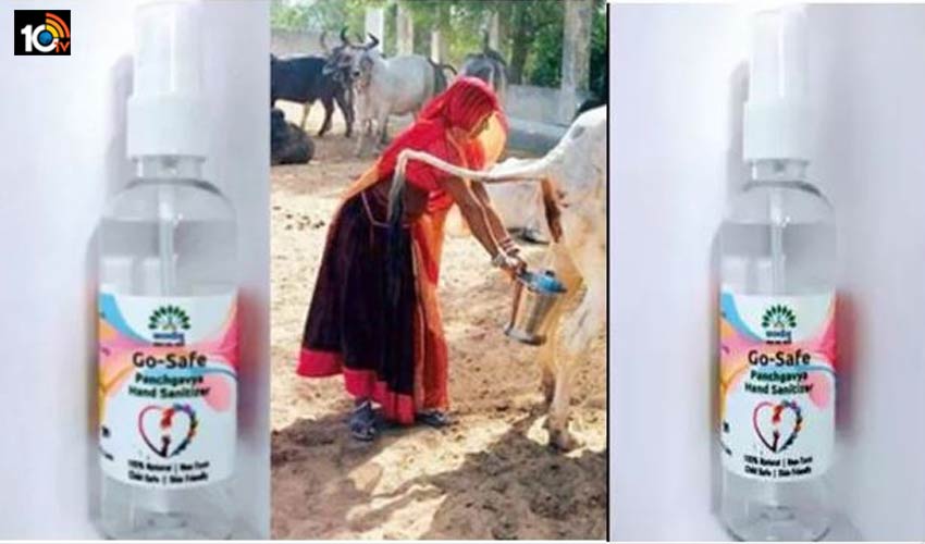 గోమూత్రంతో శానిటైజర్..రాసుకుంటే కరోనా రాదట గోమూత్రంతో శానిటైజర్..రాసుకుంటే కరోనా రాదట