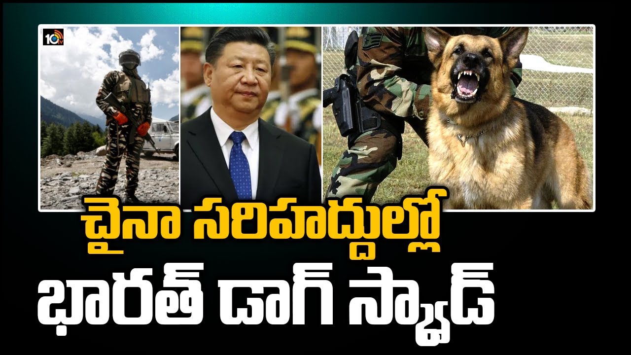 చైనా సరిహద్దుల్లో ఇండియా కే 9 జాగిలాలు