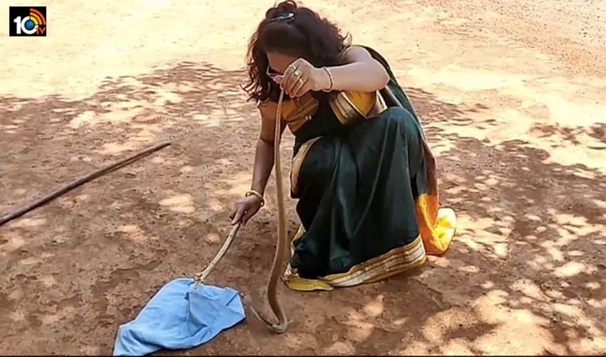 Snake Rescue : చీర కట్టి పామును పట్టేసిన మహిళ, video viral Snake Rescue : చీర కట్టి పామును పట్టేసిన మహిళ, video viral
