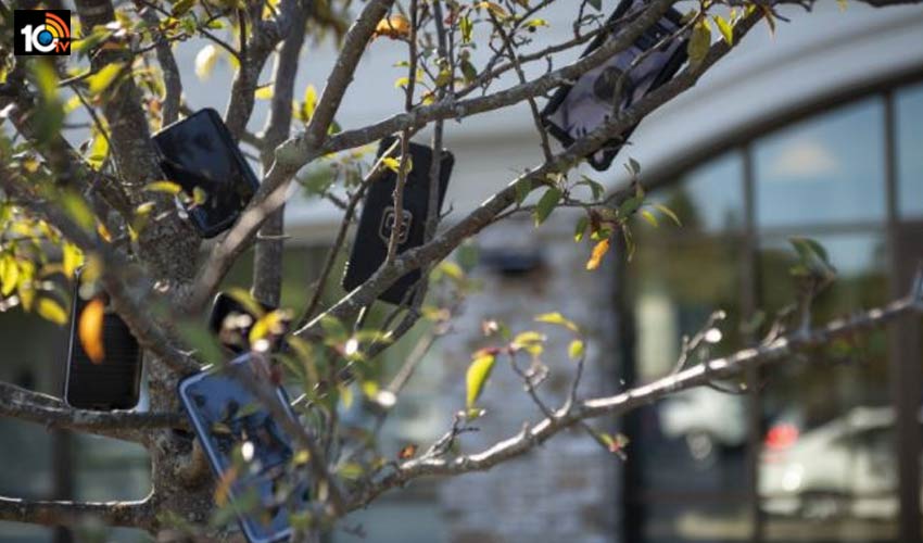 the-bizarre-reason-amazon-drivers-are-hanging-phones-in-trees-near-whole-foods