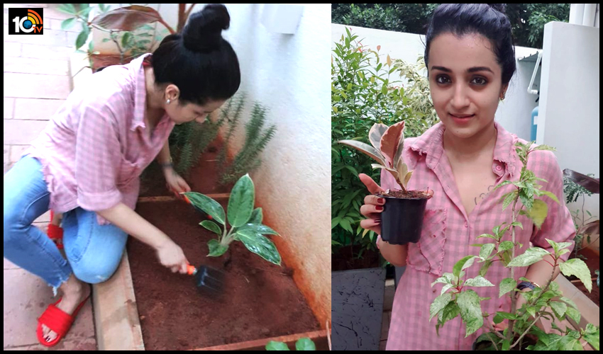 Trisha Krishnan: గ్రీన్ ఇండియా ఛాలెంజ్.. Trisha Krishnan: గ్రీన్ ఇండియా ఛాలెంజ్..