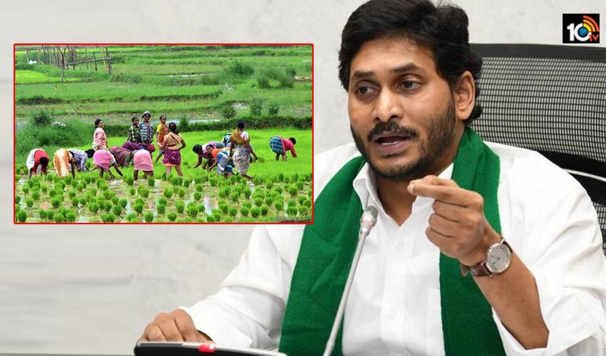 cm-jagan-key-statement-on-the-minimum-support-price