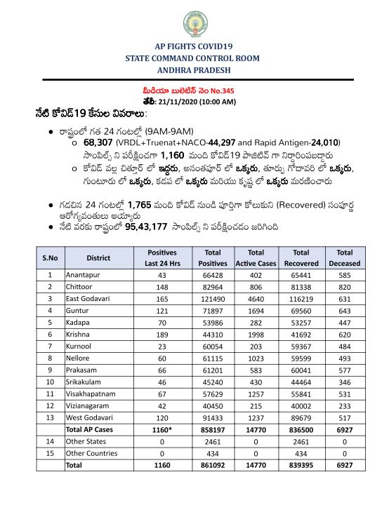 covid test report