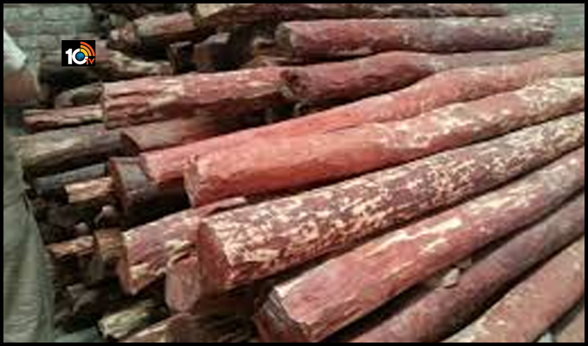 red-sandalwood-worth-rs-10-crore-seized-in-tamil-nadu