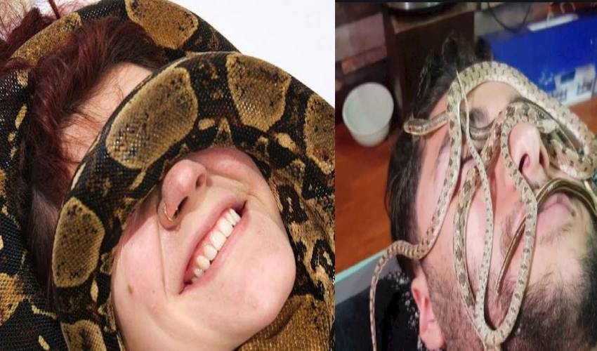 Egyptian spa offers snake massage