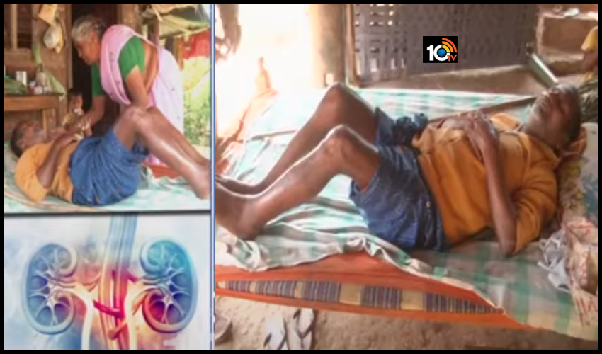కృష్ణా జిల్లాలో కిడ్నీ మహమ్మారి.. మృత్యువుతో పోరాడుతున్న బాధితులు కృష్ణా జిల్లాలో కిడ్నీ మహమ్మారి.. మృత్యువుతో పోరాడుతున్న బాధితులు