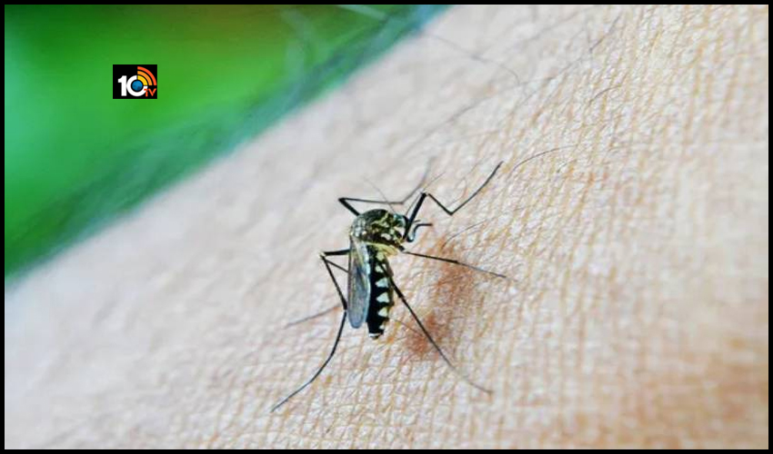 కేరళలో కొత్త వ్యాధి కలకలం.. కేరళలో కొత్త వ్యాధి కలకలం..