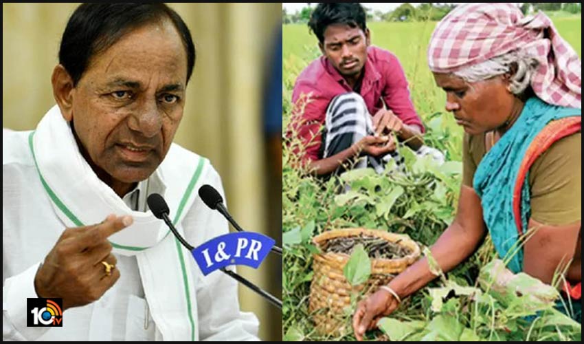 తెలంగాణలో నియంత్రిత సాగు విధానం రద్దు..రైతులు ఇష్టమైన పంటలు వేసుకోవచ్చు తెలంగాణలో నియంత్రిత సాగు విధానం రద్దు..రైతులు ఇష్టమైన పంటలు వేసుకోవచ్చు