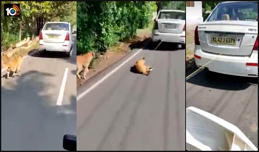 కుక్కను నడిరోడ్డుపై లాక్కెళ్లాడు కుక్కను నడిరోడ్డుపై లాక్కెళ్లాడు