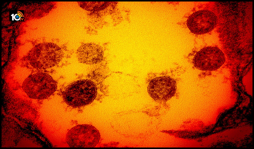 U.Kలో New Virus Strain’s : వచ్చే ఏడాదిలో మరిన్ని మరణాలు ? U.Kలో New Virus Strain’s : వచ్చే ఏడాదిలో మరిన్ని మరణాలు ?