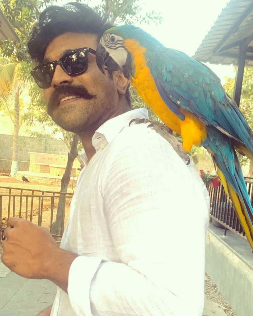 Ram Charan