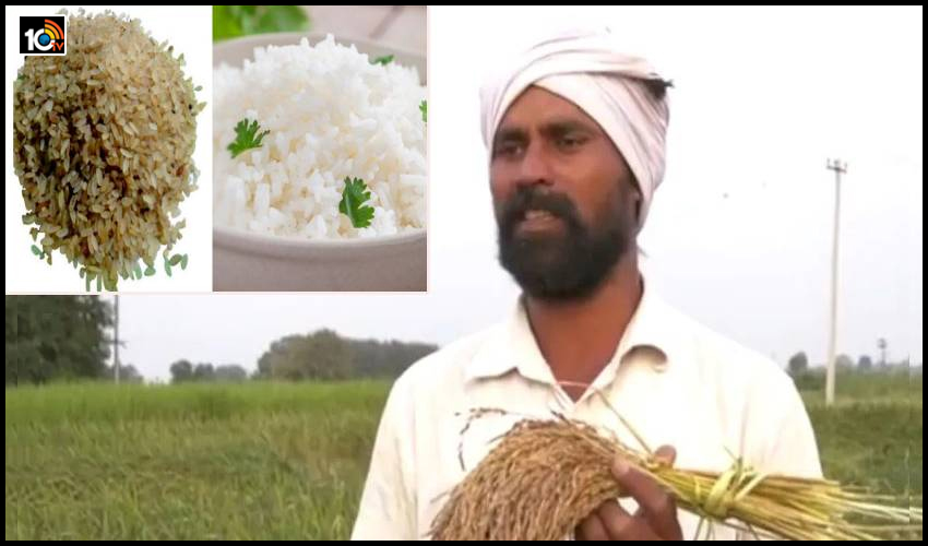 భలే ‘మ్యాజిక్ బియ్యం’ : నీళ్లు పోస్తే చాలు..ఉడికించకుండానే అన్నం రెడీ..కరీంనగర్ యువరైతు కృషి భలే ‘మ్యాజిక్ బియ్యం’ : నీళ్లు పోస్తే చాలు..ఉడికించకుండానే అన్నం రెడీ..కరీంనగర్ యువరైతు కృషి