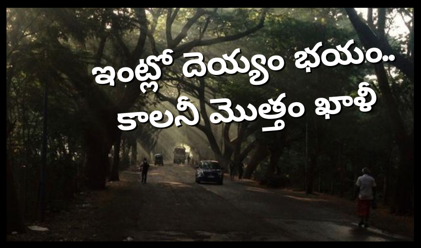 ఇంట్లో దెయ్యం భయం.. కాలనీ మొత్తం ఖాళీ ఇంట్లో దెయ్యం భయం.. కాలనీ మొత్తం ఖాళీ