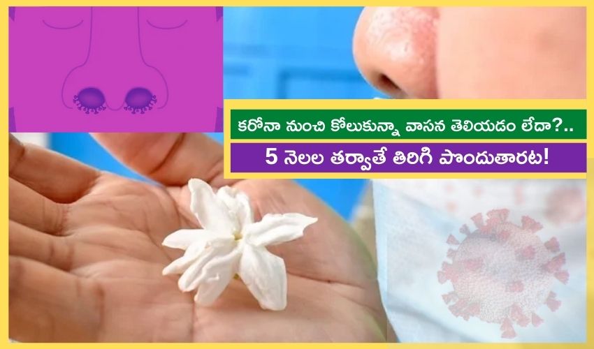 Coronavirus Can Take Over 5 Months for Sense of Smell to Return