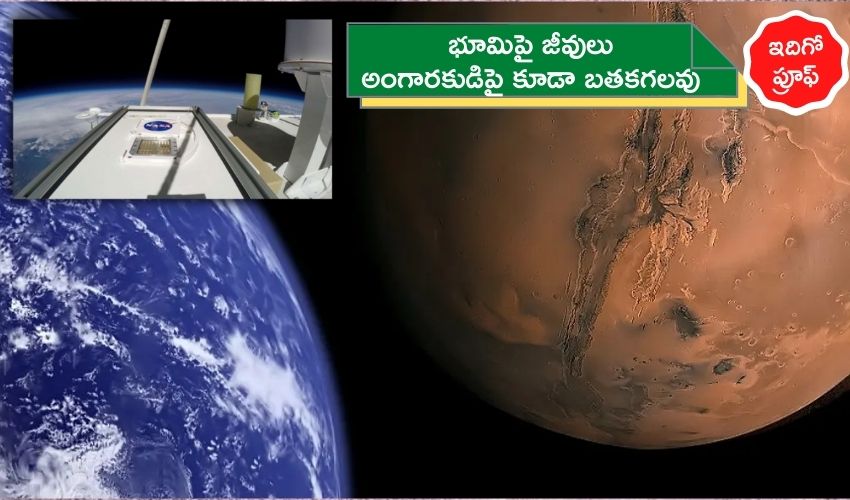 Earthly Life Could Survive On Mars