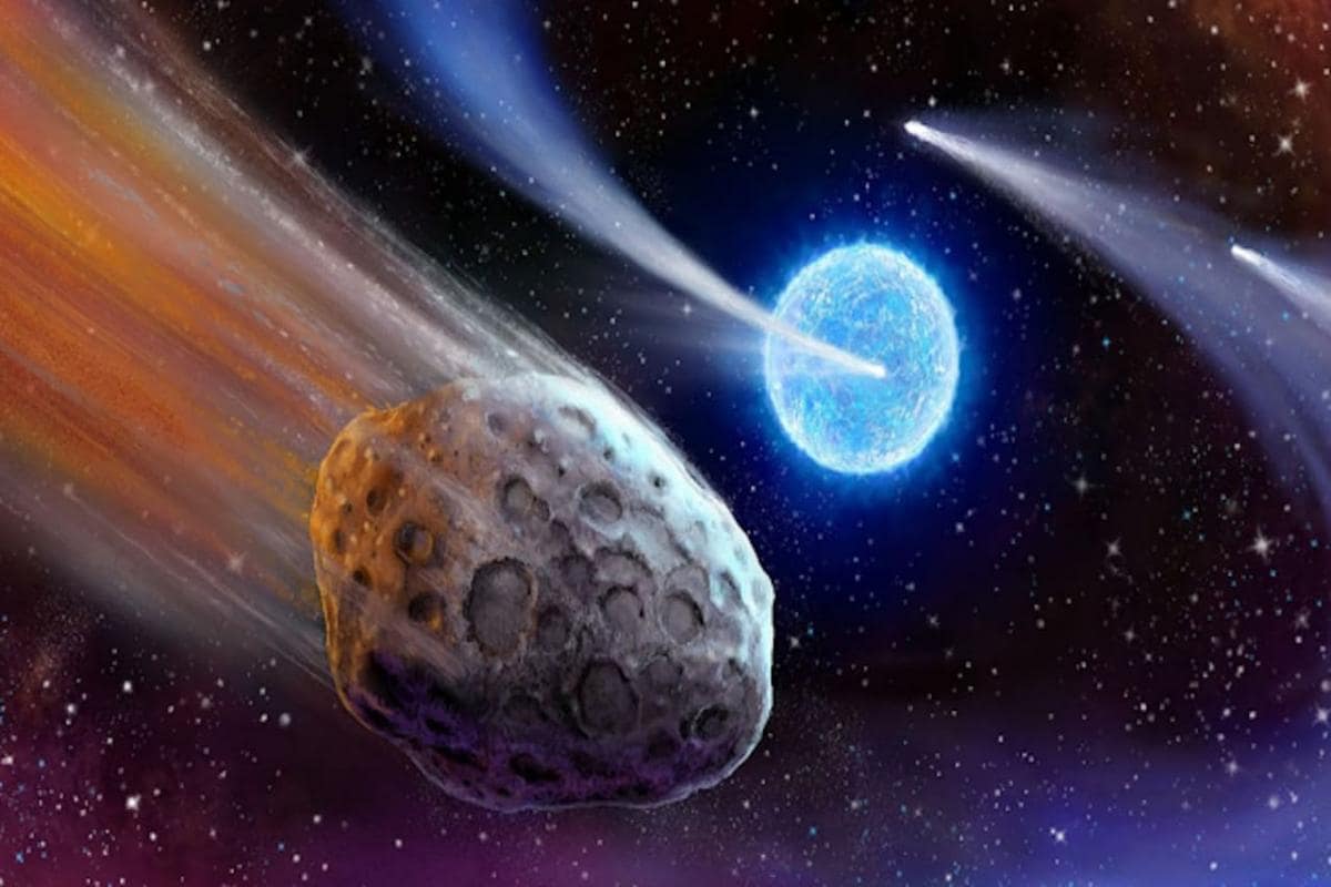 A Camet Stop Near Jupiter's Asteroids