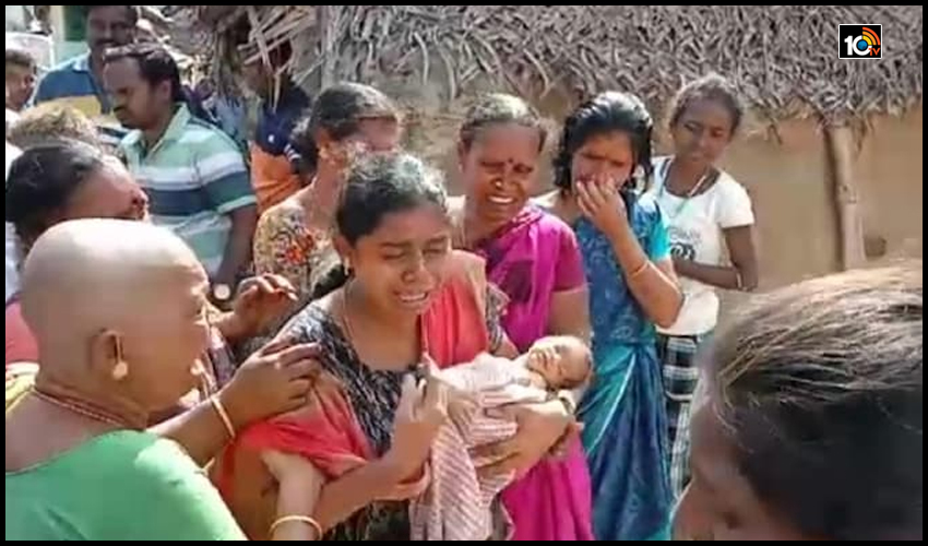 కవల పిల్లలను ఎత్తుకెళ్లిన కోతులు..శిశువు మృతి కవల పిల్లలను ఎత్తుకెళ్లిన కోతులు..శిశువు మృతి
