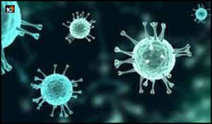tests-coronavirus-positive