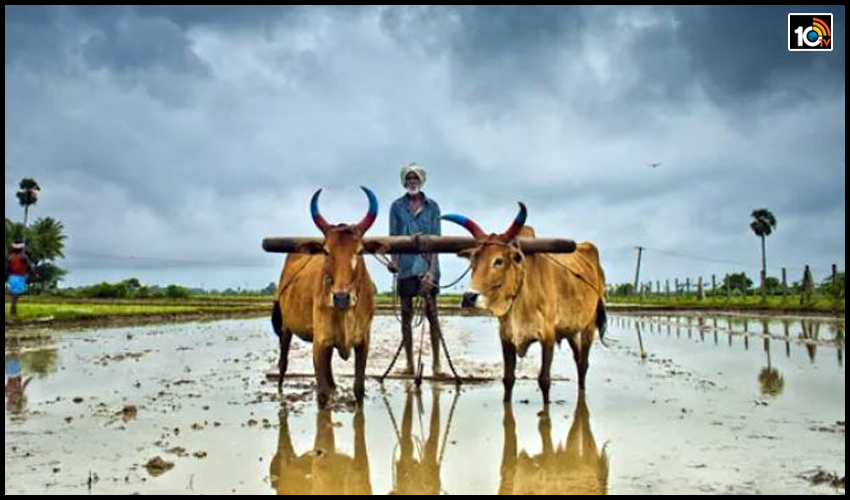 రైతుల రుణమాఫీకి రూ.12వేల కోట్లు విడుదల చేసిన తమిళనాడు రైతుల రుణమాఫీకి రూ.12వేల కోట్లు విడుదల చేసిన తమిళనాడు