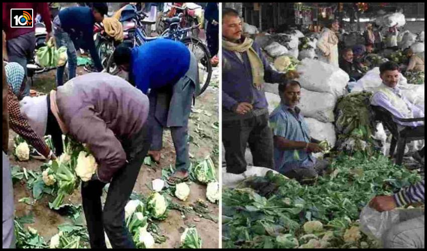 పాపం రైతన్న: దళారులదోపిడి..నడిరోడ్డుపై 10 క్వింటాళ్ల కాలిఫ్లవర్లను రోడ్డుపాలు చేయటంతో..ఎగబడ్డ జనాలు