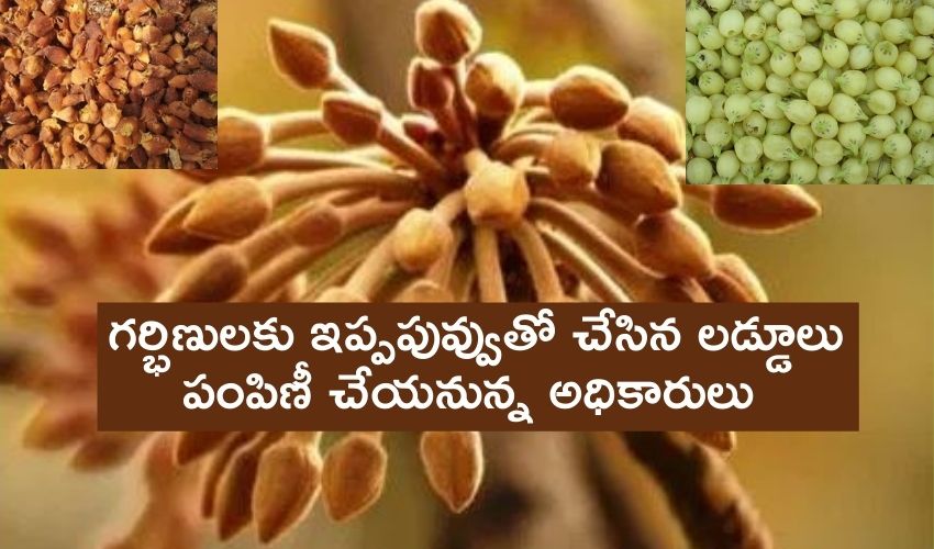 Benefits Of Ippapuvvuu For Pregnant Women